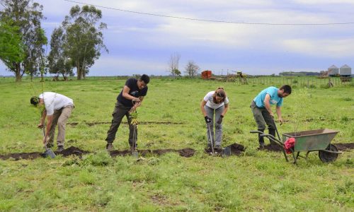 4a. Plantando Agrofloresta Don Pedro, Ayacucho