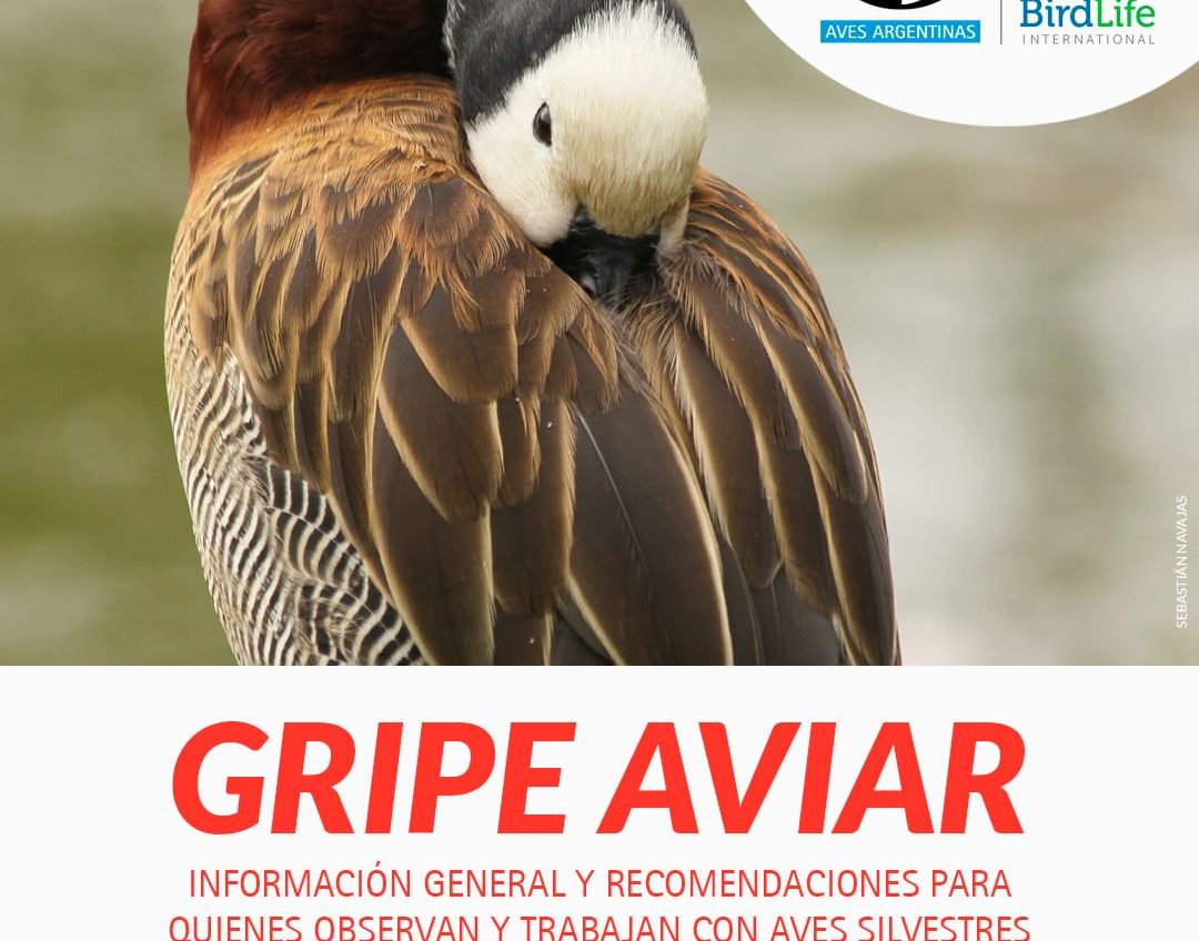 Recomendaciones Aves Argentinas - 1