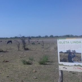 Isleta Linda b