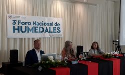 3 Foro Humedales (3)