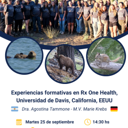 Experiencia RX One Health
