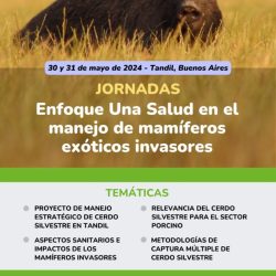 Flyer Jornada US - MEI
