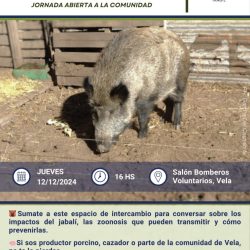 12/12 - Charla sobre la Problemática del jabalí. Vela, pdo. de Tandil